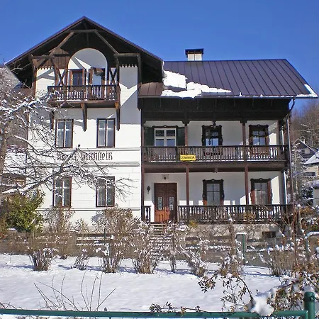 Villa Dachstein